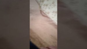 Прошиваем телевизор helix htv-329w