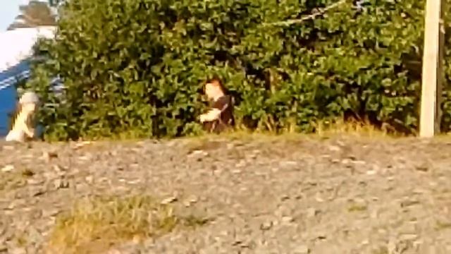 ПЛЯЖ сфера, Виталий Чикишев.Озеро Тургояк. смотреть онлайн