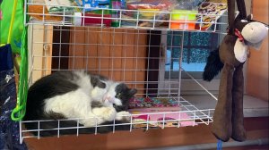 Потеряла часы, косметика, отдых подошел к концу(.