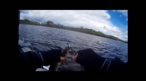 Ловля щуки на вращающиеся блесны