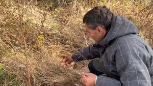 Невероятное везение