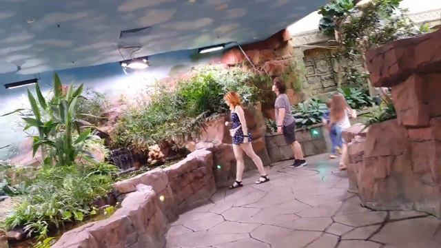 ДЖУНГЛИ 2ч. ОКЕАНАРИУМ КРОКУС. смотреть онлайн