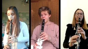 Песня из К\ф "Тени исчезают в полдень" Муз. Л. Афанасьева, слова И. Шаферан "Гляжу в озера синие"