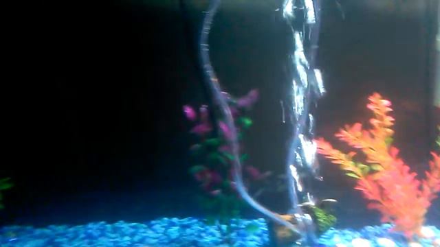 He dwownin' смотреть онлайн