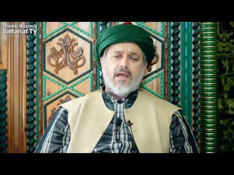 Шейх Бахауддин Эфенди. Человечество - это не птицеферма