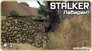 S.T.A.L.K.E.R. Лабиринт. Прохождение 1 (12.02.2024)