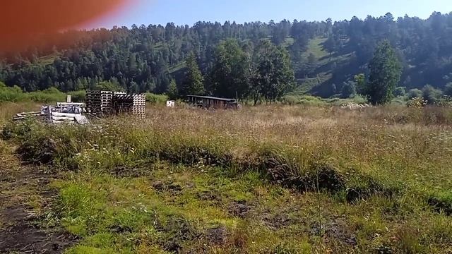 Ошибки выжившего. Хардболисты и казаки.mp4