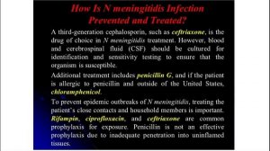 Lecture 9 (3rd course) — Neisseria meningitidis, Haemophilus influenzae.mp4