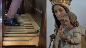 Litzau 1822-1893 Transcription Bach AGNUS DEI BWV 232 W. van Twillert IBACH-organ Bergen op Zoom