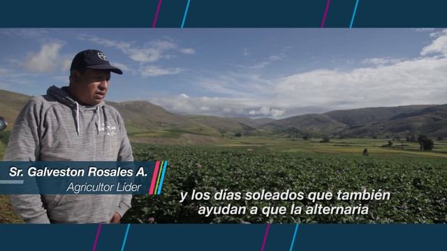 Experiencia en el control de Alternaria en papa (Luna Tranquility) смотреть онлайн