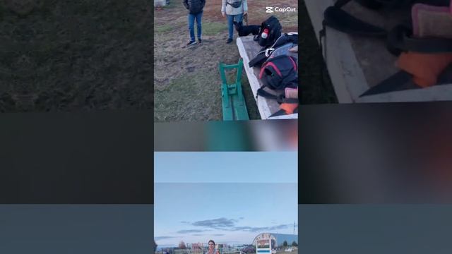 Дрессировка собак в Омске - ОЦССС⁠⁠
