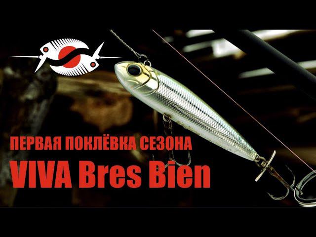 Первая поклёвка нового сезона. Щука на Viva Bres Bien.