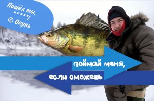 ЛОВЛЯ ОКУНЯ НА МОРМЫШКУ.ПАССИВНЫЙ ОКУНЬ В МАРТЕ.