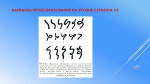 Выпуск 15, часть 2. Извитость позвоночных артерий