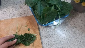 Сок подорожника-здоровое тело!!!