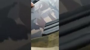 Лодка "Ракета" РЛ350у