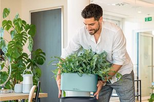 Кашпо для цветов ? LECHUZA PILA Color Stick с автополивом  ? #lechuzamoscow #автополив