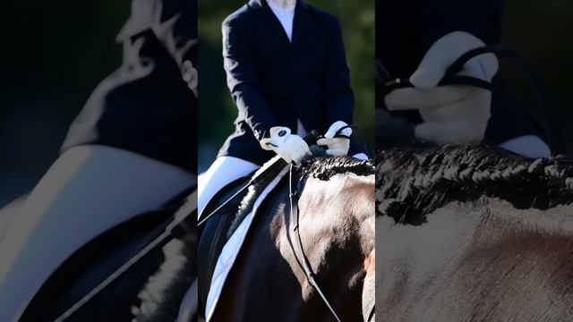 Тест для начинающих всадников. Первые старты🐎🏆 смотреть онлайн