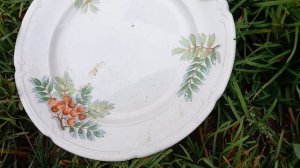 С  МУСОРКИ  ВИНТАЖНАЯ  ПОСУДА ЗиК .  ЧИЩУ  ТАРЕЛКИ