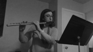 Moyse 15. Allegro (B Major)