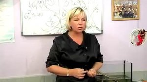 Ирина Волкова "Суть бизнеса"