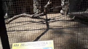Варшавский Зоопарк Летом