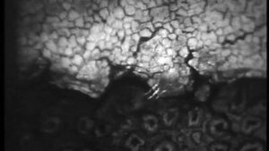 Трение,смазка и изнашивание деталей машин