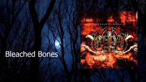 MARDUK - шведский блэк-метал Swedish Black Metal / Обзор от DPrize