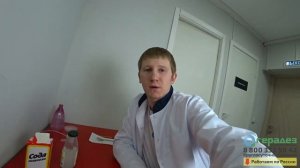 Помогает ли сода от клопов