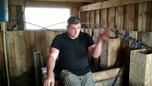 Когда покупать вьетнамского поросёнка? Возраст. Вес. / Вьетнамские свиньи