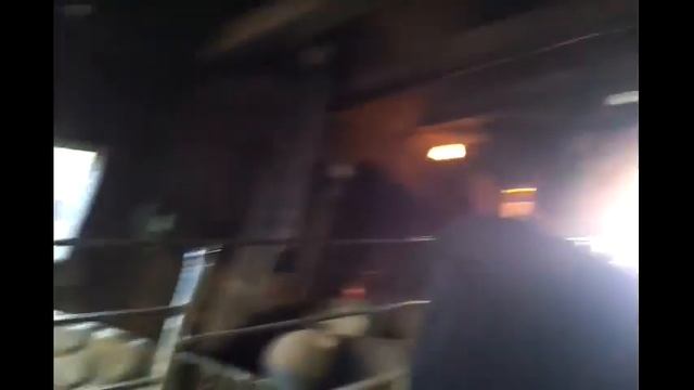 Дисней Лос Анджелес смотреть онлайн