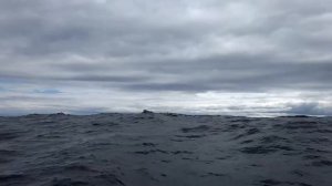 Волнение. Переход Лосево - Валаам на лодке Пелла-Фиорд + Tohatsu M5B.