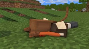 Monster School : Cute CAT Girl and Poor Zombie Farmer - Minecraft Animation