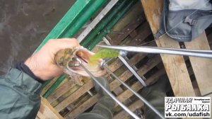 Инструменты спиннингиста