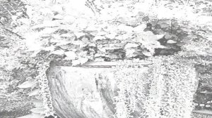 Идеи КОНТЕЙНЕРНОГО озеленения