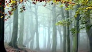 Что такое осень фрагмент