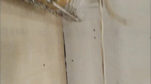 Как сделать нож Кунай Bone из дерева стандофф 2 /  Standoff 2 крафт