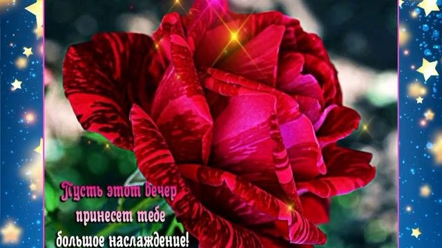 Добрый вечер! Спокойной ночи!
