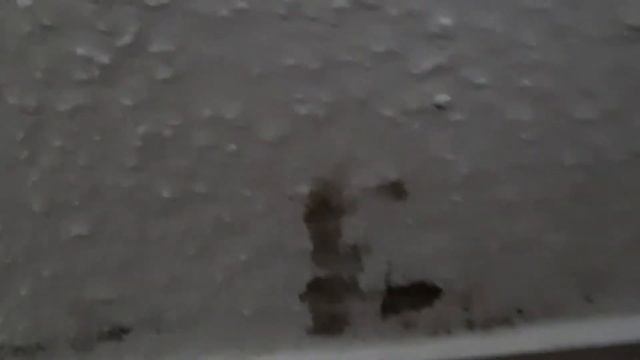 Как удалить чёрную плесень смотреть онлайн