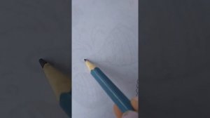 Рисуем летние рисунки карандашом