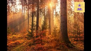 Soothing Meditation Music - Suitable for Meditation - Nature Clippings