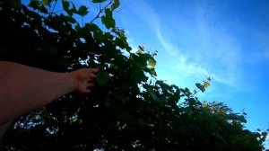 Где находится наш дом. Анапа. Джемете.  Часть 1.