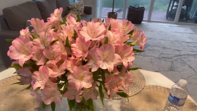 Закончился ремонт;Осень в Торонто; Жизнь в мегаполисе; смотреть онлайн