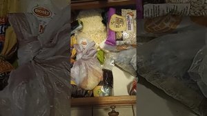 как вывести моль в шкафах?как выглядит гнездо моли?