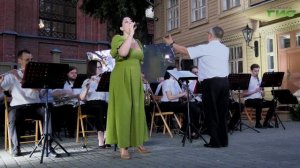 Самарский муниципальный духовой оркестр выступил с концертной программой