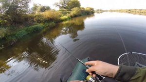 Сплав. Ока. Шнурье на Mottomo LEO 90SP