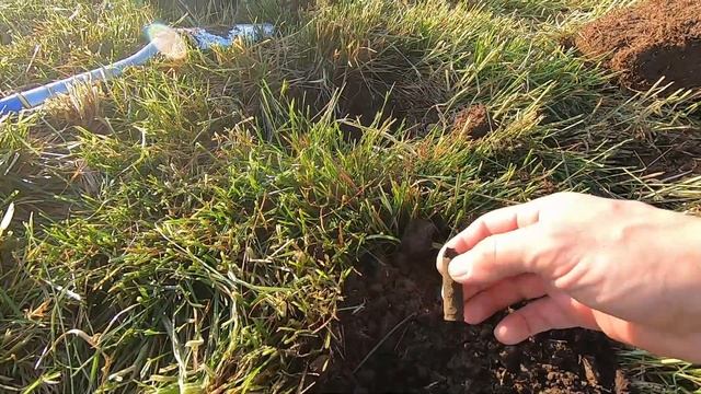 Как и Почему Коп в Германии 2021 Отвечаем на вопросы смотреть онлайн