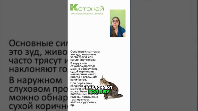 Как избавиться от зуда и покраснения в ушах | Причины и лечение