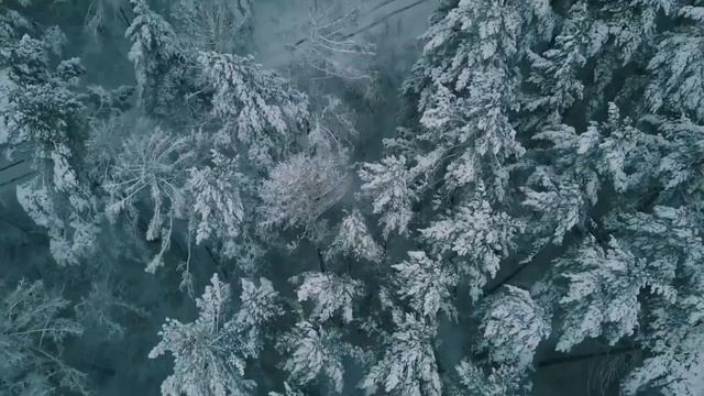Йоль - Зимнее Солнцестояние