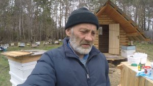 ЧЕМ КРАСИТЬ УЛЬЯ.